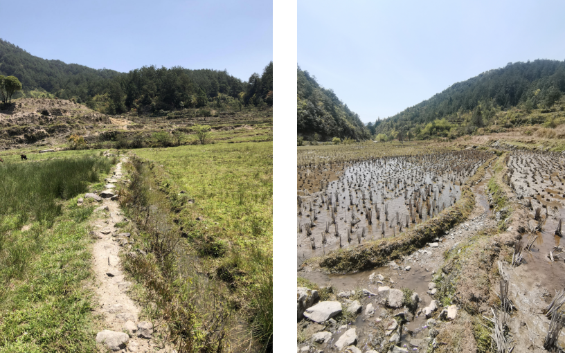 壽寧縣托溪鄉(xiāng)渺洋村2020年 高標(biāo)準(zhǔn)農(nóng)田建設(shè)示范項(xiàng)目