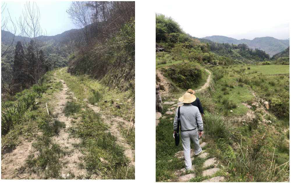 壽寧縣托溪鄉(xiāng)圈石村2020年高標(biāo)準(zhǔn)農(nóng)田建設(shè)項(xiàng)目