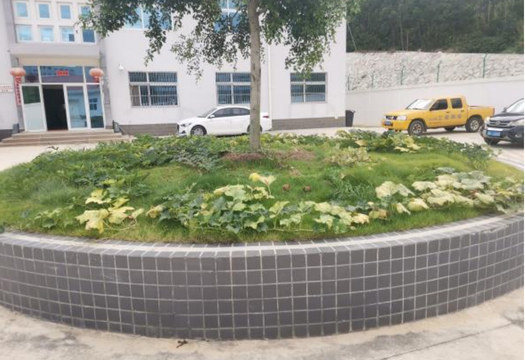 海西天然氣管網(wǎng)德化支線工程（水頭分輸清管站）水土保持設(shè)施驗收