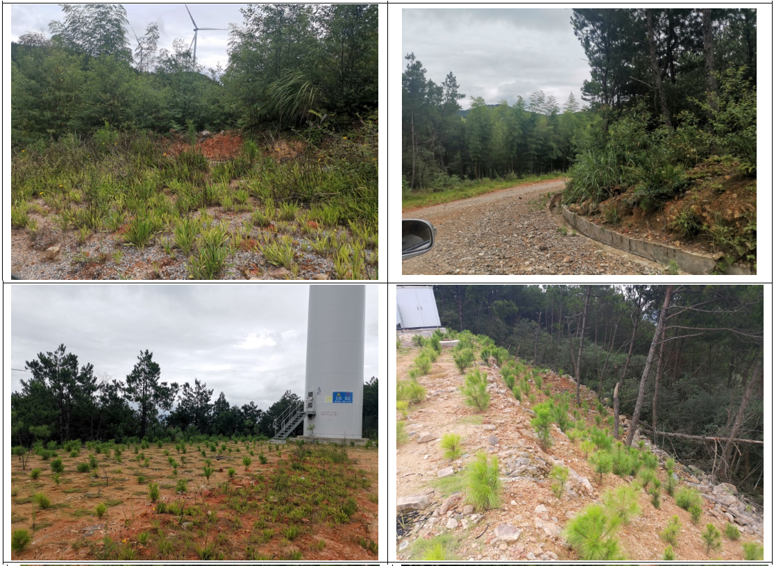 古田泮洋風電場二期項目水土保持方案變更報告書