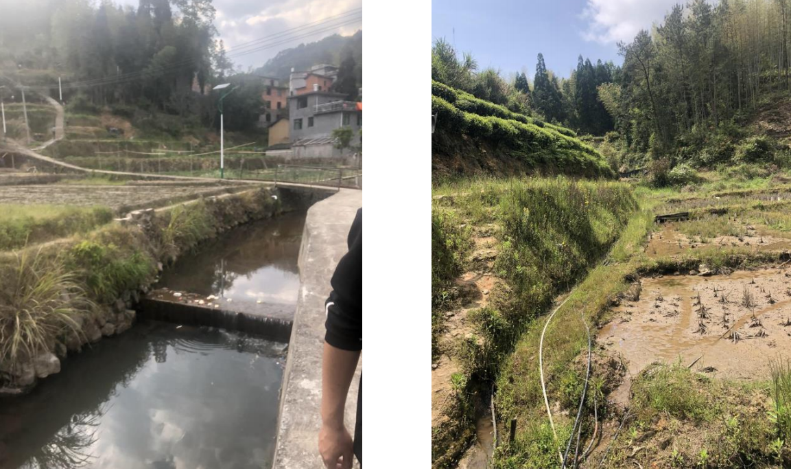 壽寧縣芹洋鄉(xiāng)阜莽-茗坑村2020 年高標準農(nóng)田建設(shè)項目